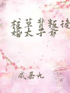 校草背叛后我闪婚太子爷