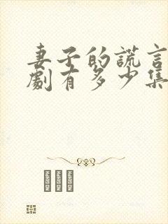 妻子的谎言电视剧有多少集