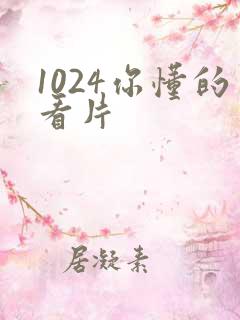 1024你懂的看片