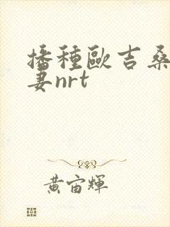 播种欧吉桑与人妻nrt