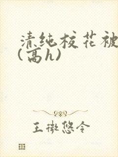 清纯校花被调教(高h)