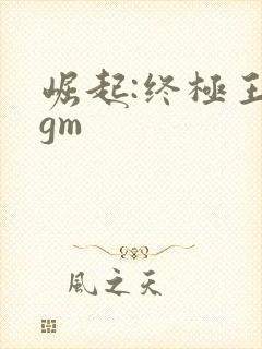 崛起:终极王者gm