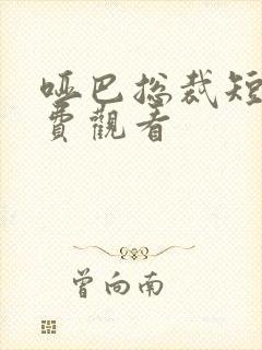 哑巴总裁短剧免费观看