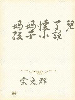 妈妈怀了儿子的孩子小说