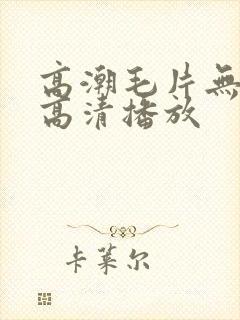 高潮毛片无遮挡高清播放