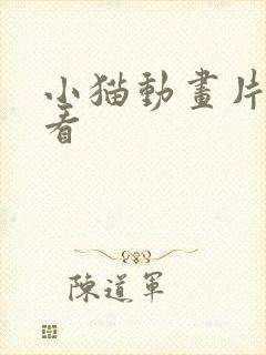 小猫动画片给猫看