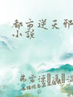 都市逆天邪医 小说