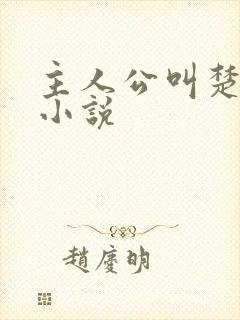 主人公叫楚尘的小说