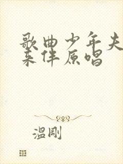 歌曲少年夫妻老来伴原唱