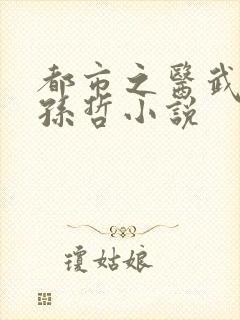 都市之医武风流孙哲小说