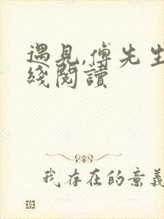 遇见,傅先生在线阅读