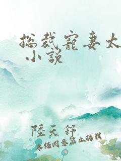 总裁宠妻太霸道 小说