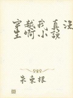 穿越我真没想重生啊小说