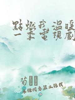 点燃我温暖你第一季电视剧免费观看