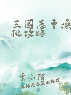 三国志曹操传单挑攻略