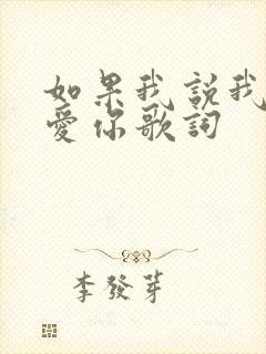 如果我说我真的爱你歌词