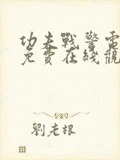 功夫战警电视剧免费在线观看