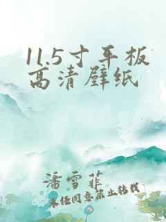 11.5寸平板高清壁纸