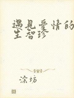 遇见爱情的利先生智珍