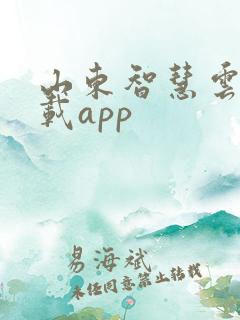 山东智慧云店下载app