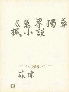 《万界独尊》林枫小说