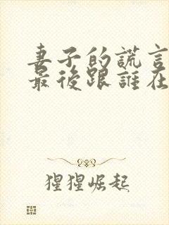 妻子的谎言一珊最后跟谁在一起了