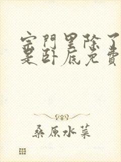 宗门里除了我都是卧底免费