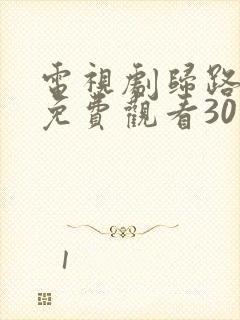 电视剧归路全集免费观看30集完整版