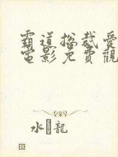 霸道总裁爱上我电影免费观看