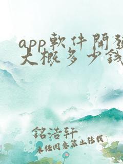 app软件开发大概多少钱