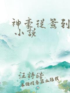 神豪从签到开始 小说