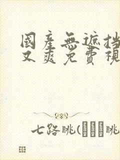 国产无遮挡又黄又爽免费视