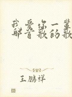 我爱你一辈子是哪首歌的歌词