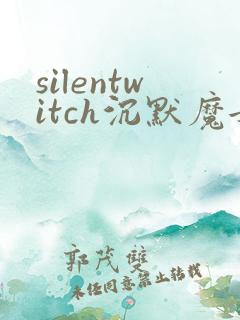 silentwitch沉默魔女的秘密小说