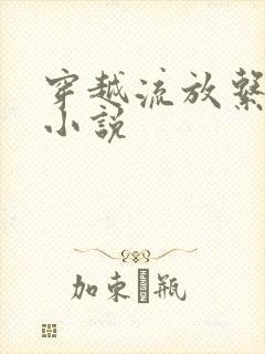 穿越流放系列的小说