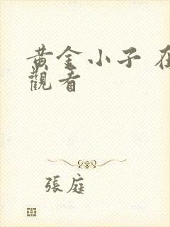 黄金小子 在线观看