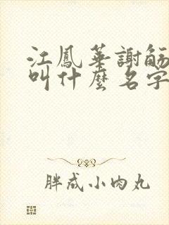 江凤华谢觞小说叫什么名字