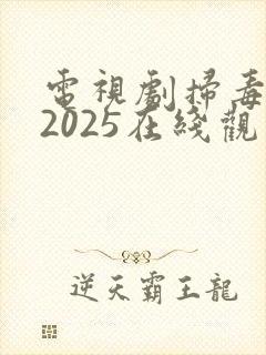 电视剧扫毒风暴2025在线观看免费