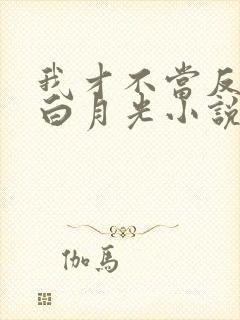 我才不当反派的白月光小说免费阅读