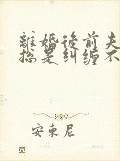 离婚后前夫兄弟总是纠缠不休 是未来呀