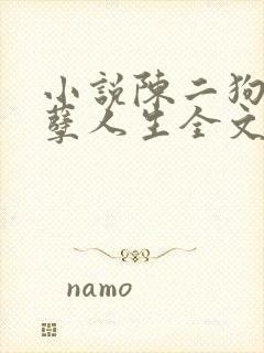 小说陈二狗的妖孽人生全文