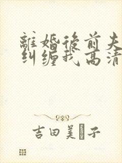 离婚后前夫总想纠缠我高清