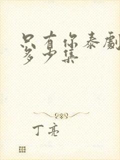 只有你泰剧一共多少集