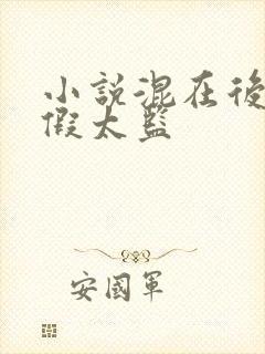 小说混在后宫的假太监