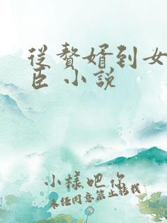 从赘婿到女帝宠臣 小说