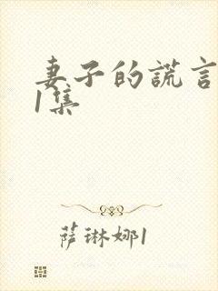 妻子的谎言第41集