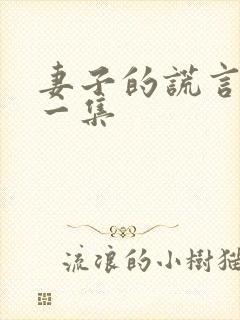 妻子的谎言最后一集