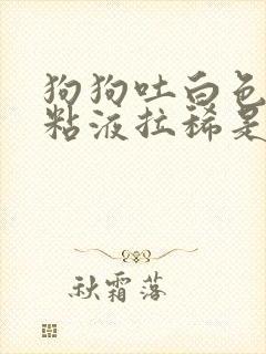 狗狗吐白色泡沫粘液拉稀是什么原因