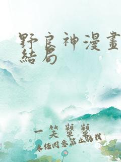 野良神漫画最后结局