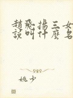 赵飞扬三女的小说叫什么名字